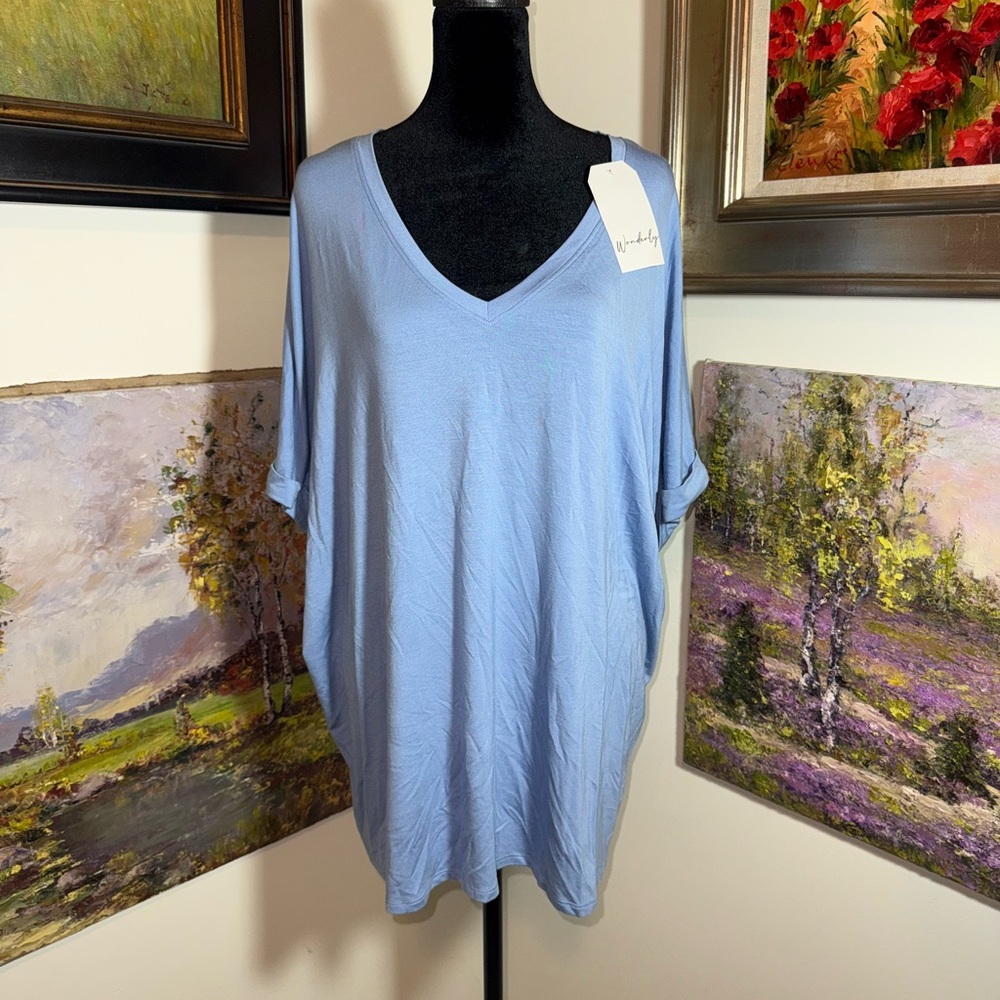 🐠 Wonderly Sky Blue V-Neck Short Sleeve Top